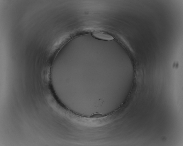 X0000110700023200906261418