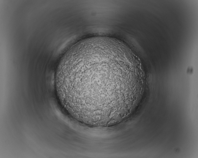 X0000110700024200906261418