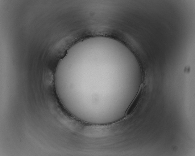 X0000110700025200906261418