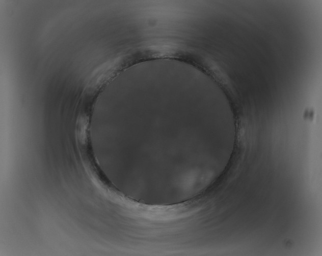 X0000110700026200906261418