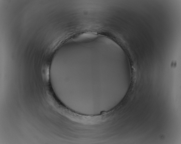 X0000110700027200906261418