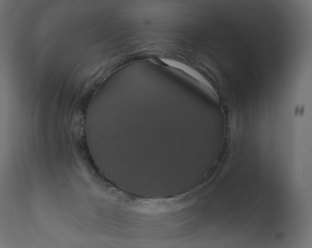 X0000110700029200906261418