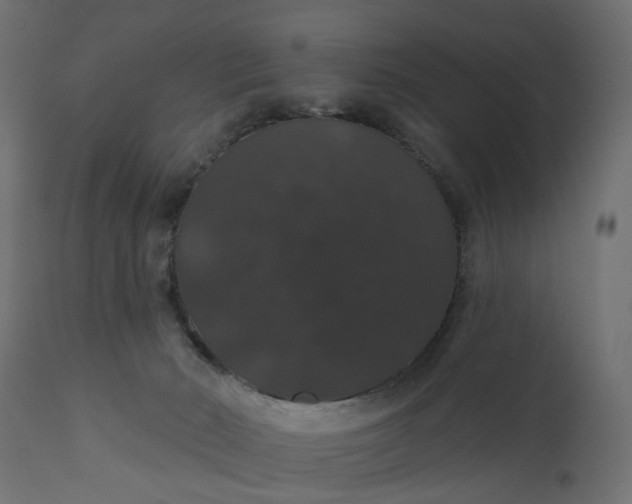 X0000110700030200906261418