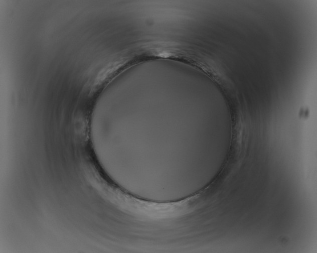 X0000110700031200906261418