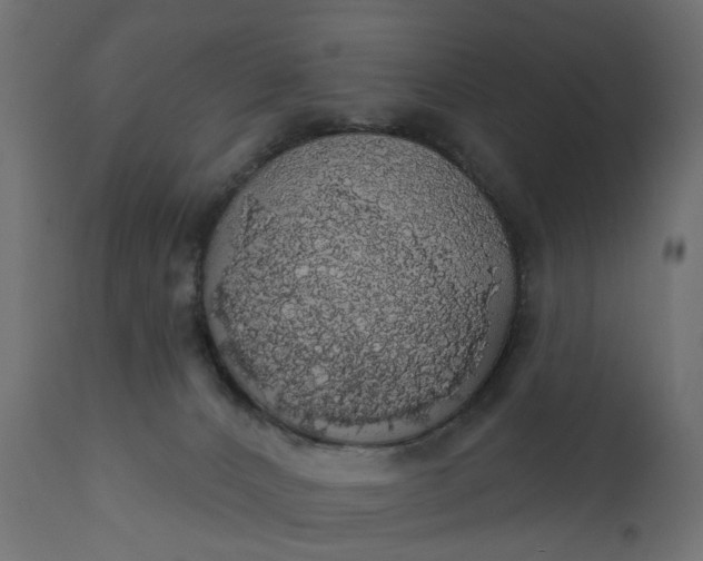 X0000110700032200906261418