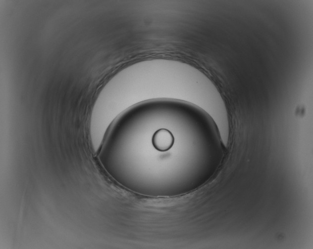 X0000110700033200906261418