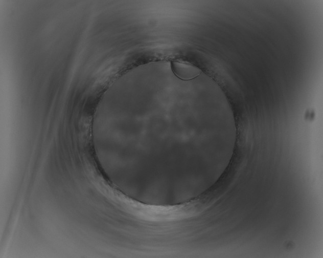 X0000110700034200906261418