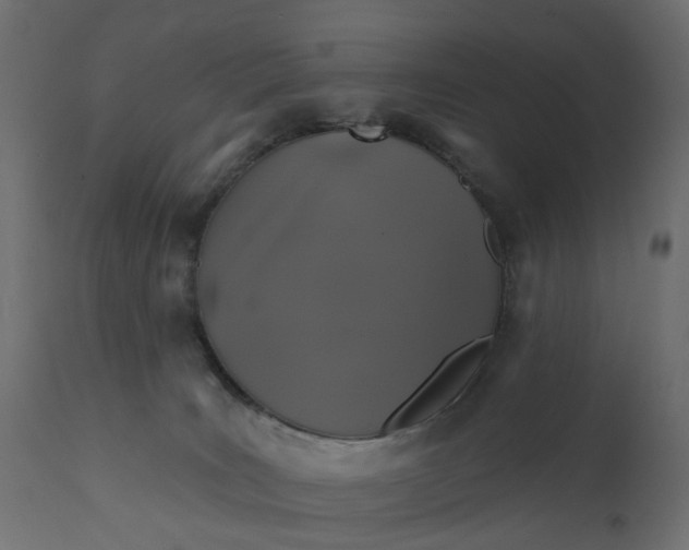 X0000110700035200906261418