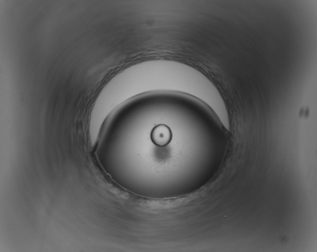 X0000110700037200906261418