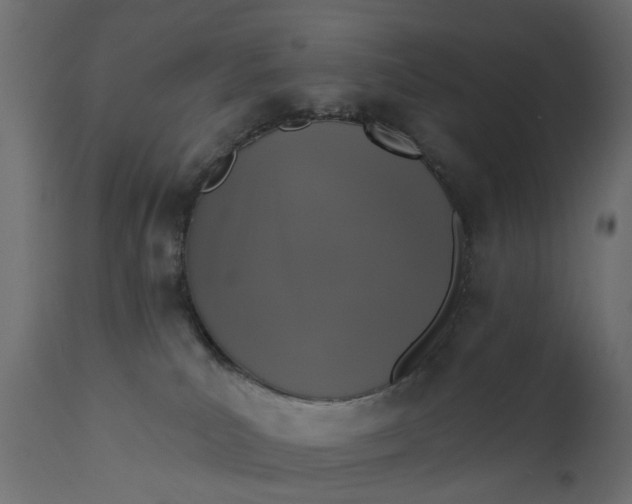 X0000110700039200906261418