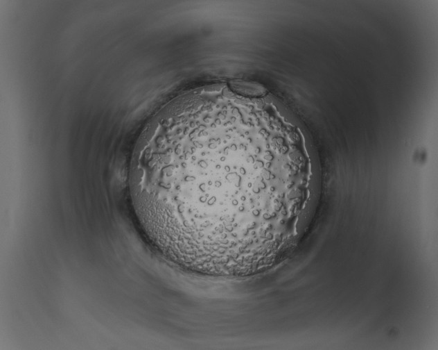 X0000110700040200906261418