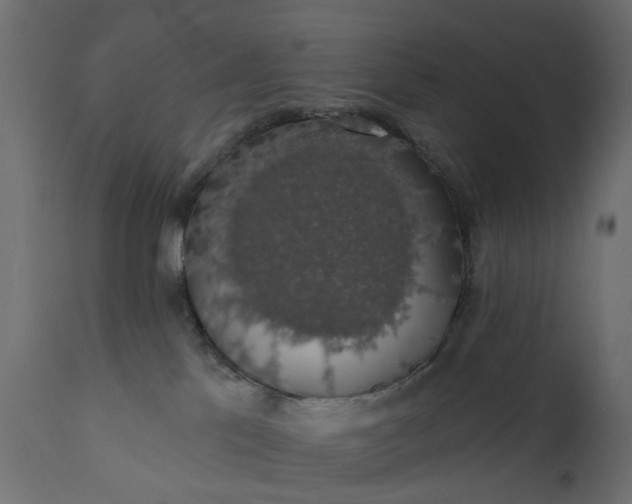 X0000110700041200906261418