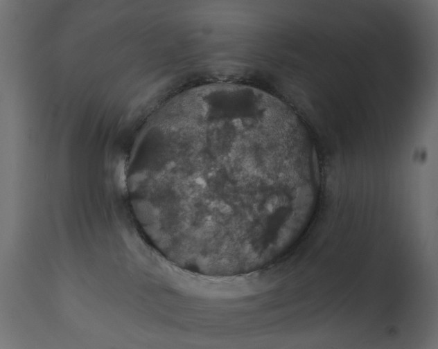 X0000110700042200906261418