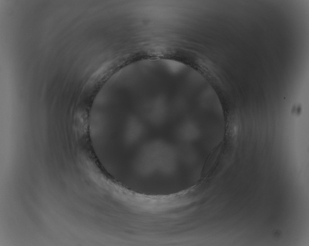 X0000110700043200906261418