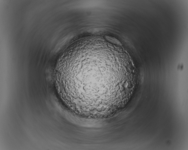 X0000110700044200906261418