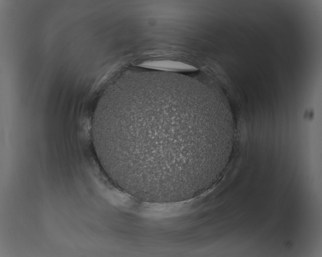 X0000110700045200906261418