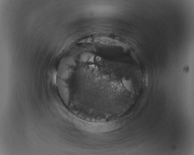 X0000110700046200906261418