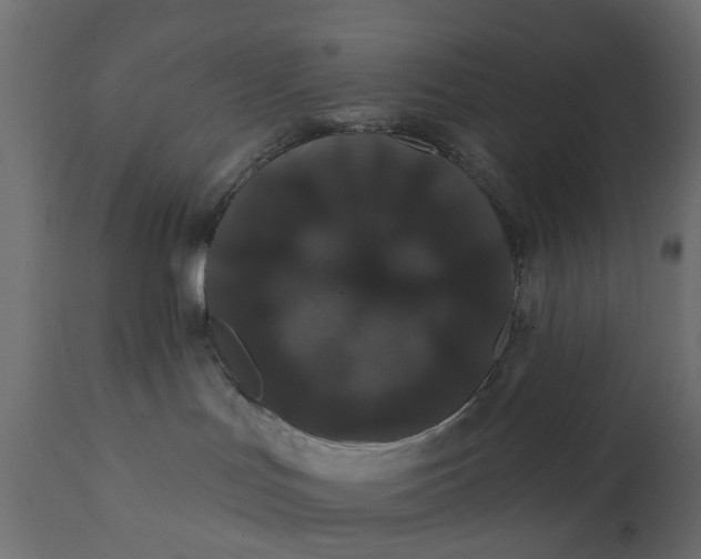 X0000110700047200906261418