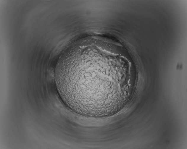 X0000110700048200906261418