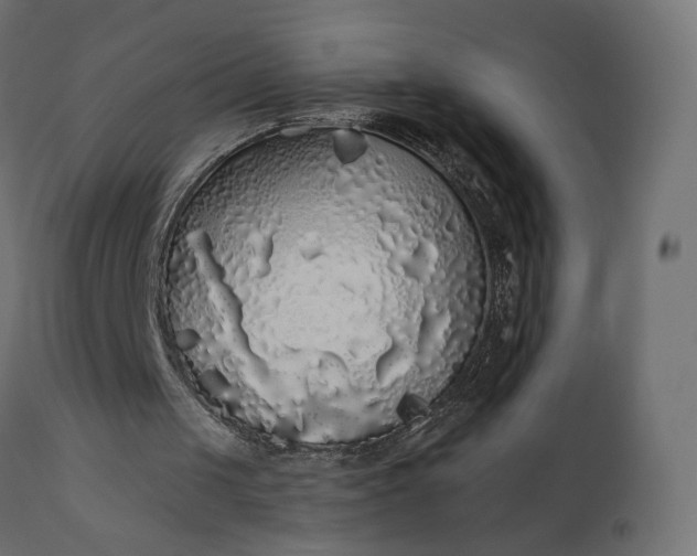 X0000110700049200906261417