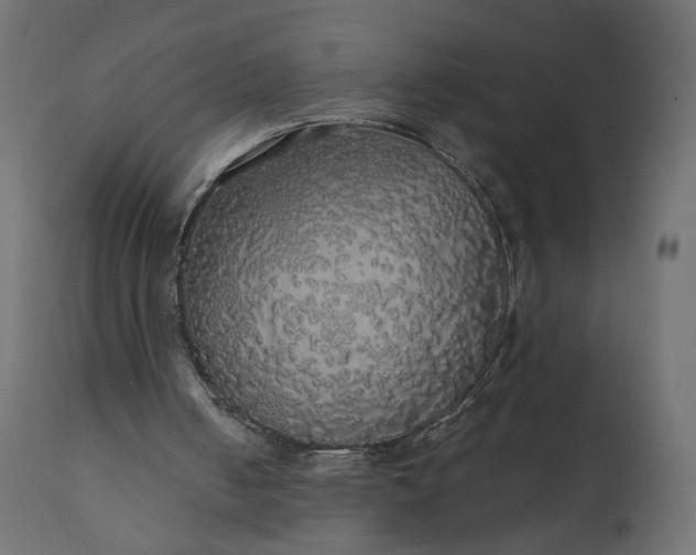 X0000110700050200906261417