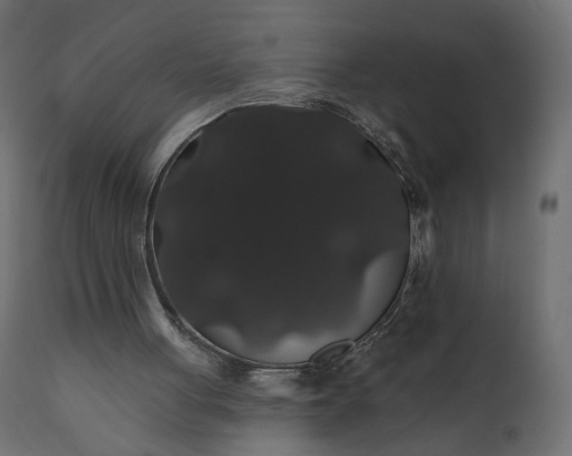 X0000110700051200906261417