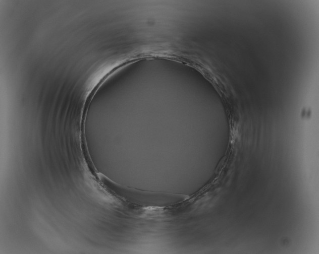 X0000110700052200906261417