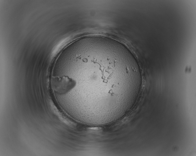 X0000110700053200906261417