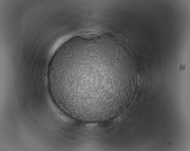 X0000110700054200906261417