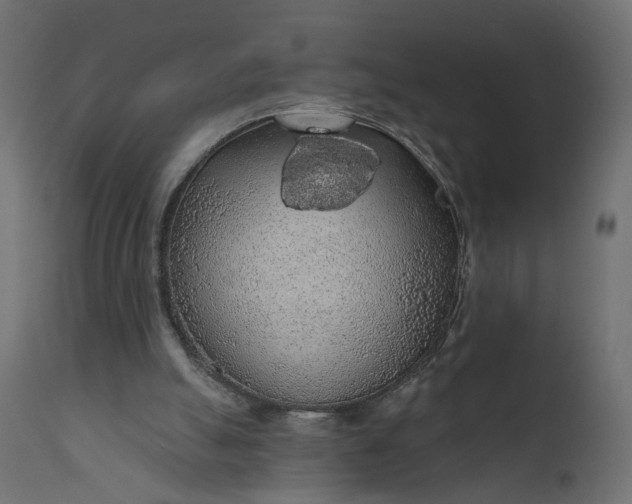 X0000110700055200906261417