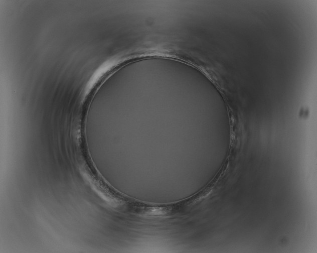 X0000110700056200906261417