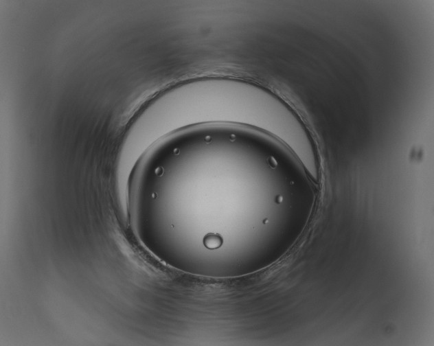 X0000110700058200906261417