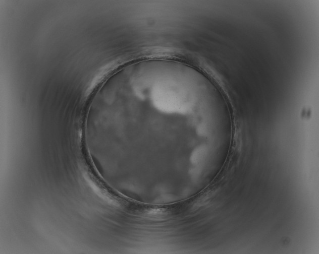 X0000110700059200906261417