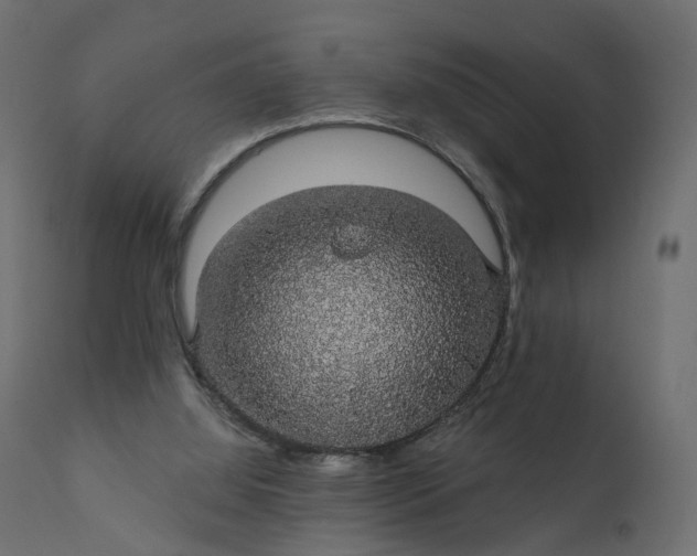 X0000110700060200906261417