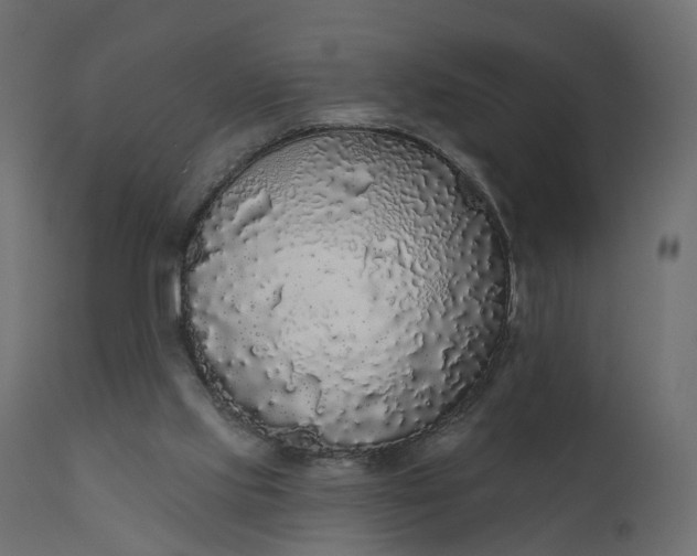 X0000110700061200906261417