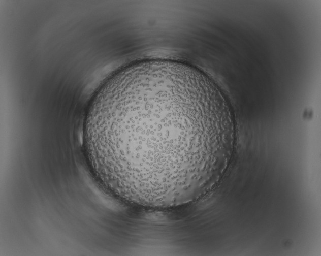 X0000110700062200906261417