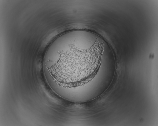 X0000110700063200906261417