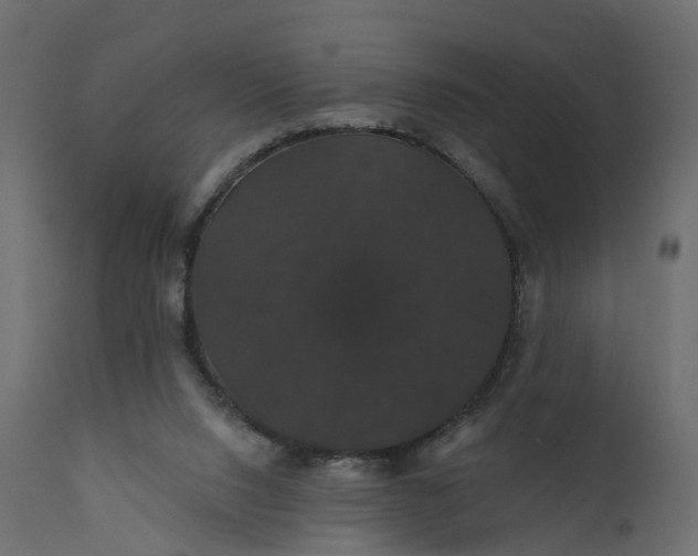 X0000110700064200906261417