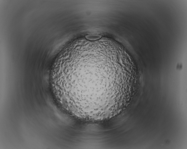 X0000110700066200906261418