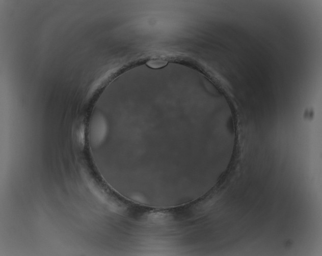 X0000110700067200906261418