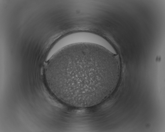 X0000110700068200906261418