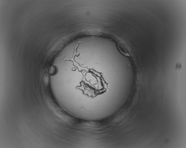 X0000110700069200906261418