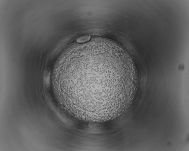 X0000110700070200906261418