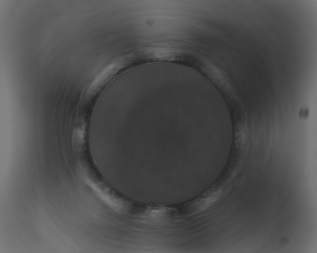 X0000110700072200906261418