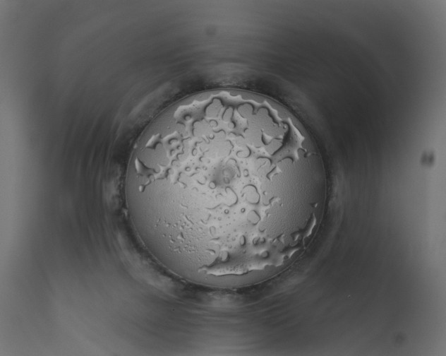 X0000110700073200906261418