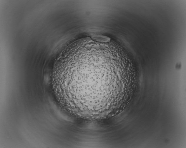 X0000110700074200906261418