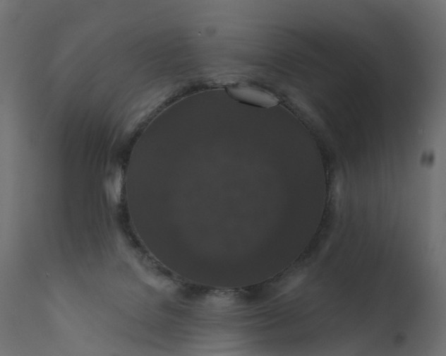 X0000110700076200906261418