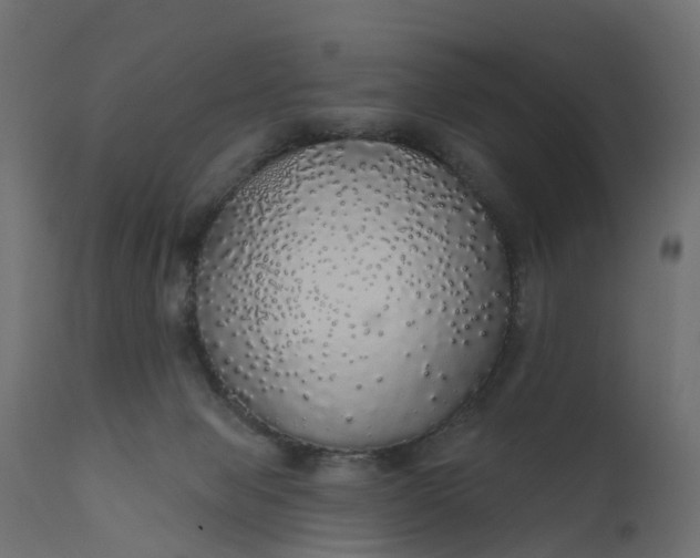 X0000110700077200906261418