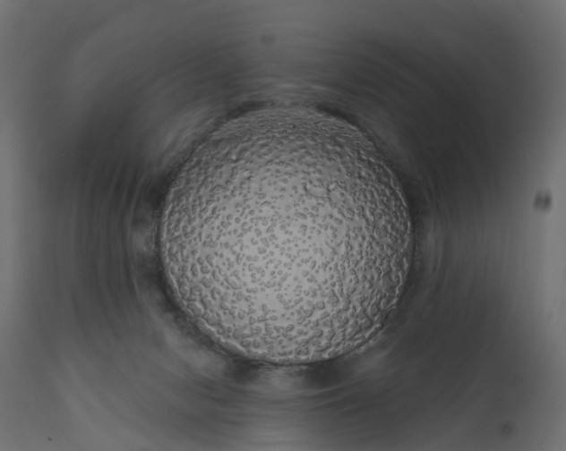 X0000110700078200906261418