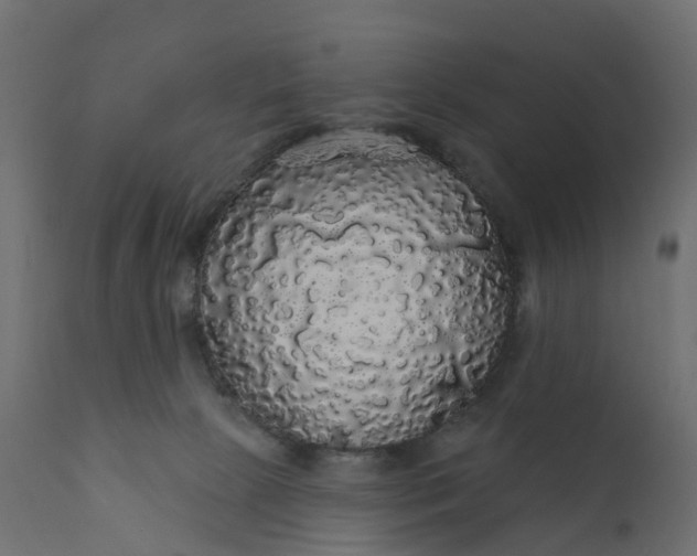 X0000110700081200906261418